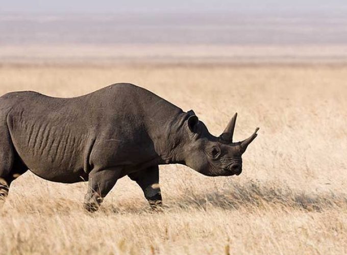 Book Your Zanzibar Holiday