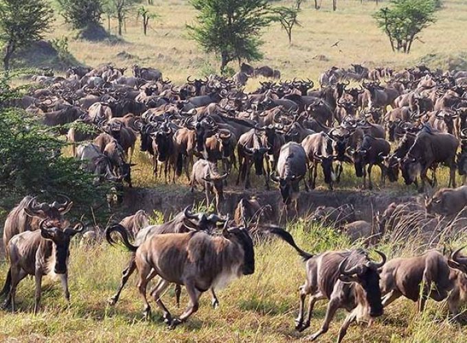 Book Your Zanzibar Holiday