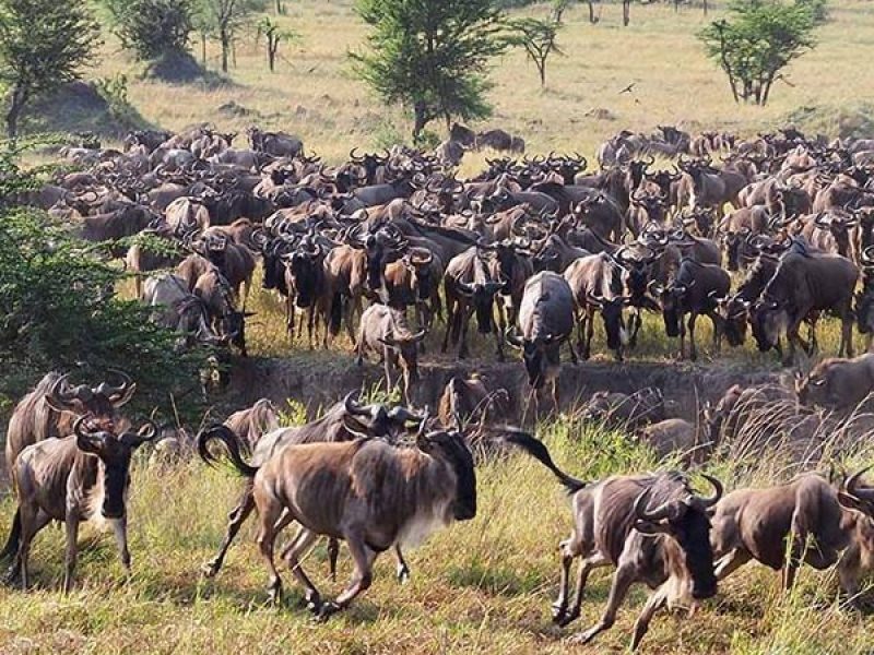 Book Your Zanzibar Holiday