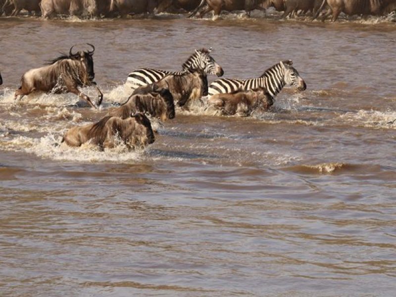 Book Your Zanzibar Holiday