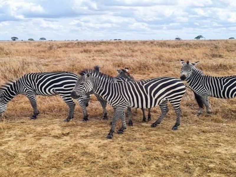Book Your Zanzibar Holiday