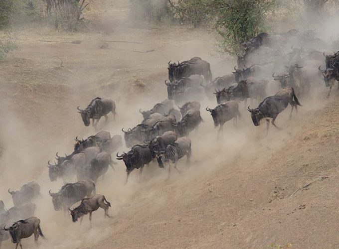 Book Your Zanzibar Holiday