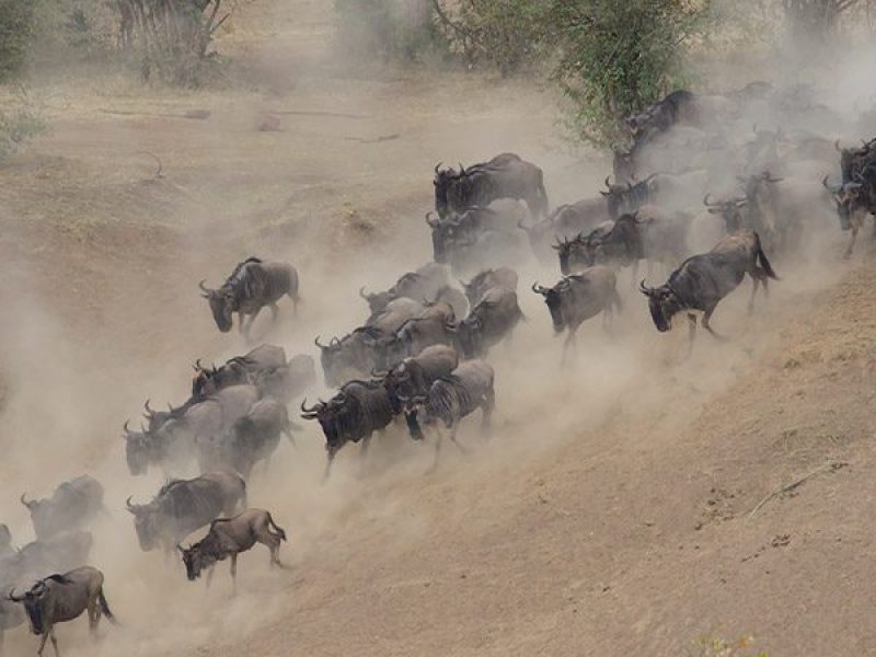 Book Your Zanzibar Holiday