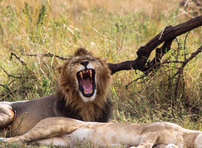 Book Your Zanzibar Holiday