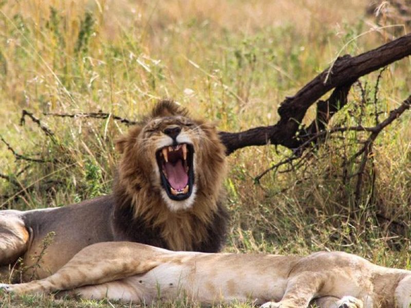 Book Your Zanzibar Holiday