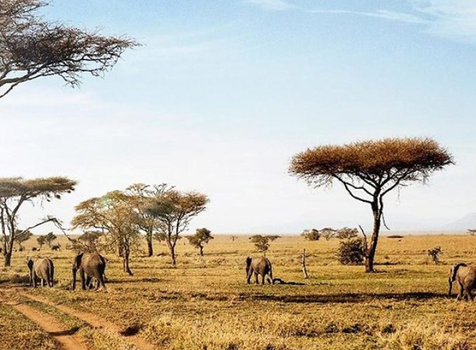 Book Your Zanzibar Holiday