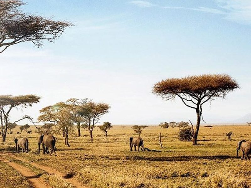 Book Your Zanzibar Holiday